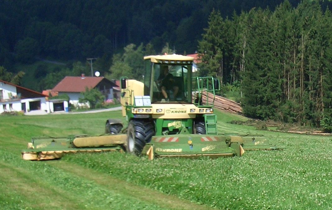 GrünroggenSilage und Grassilage!