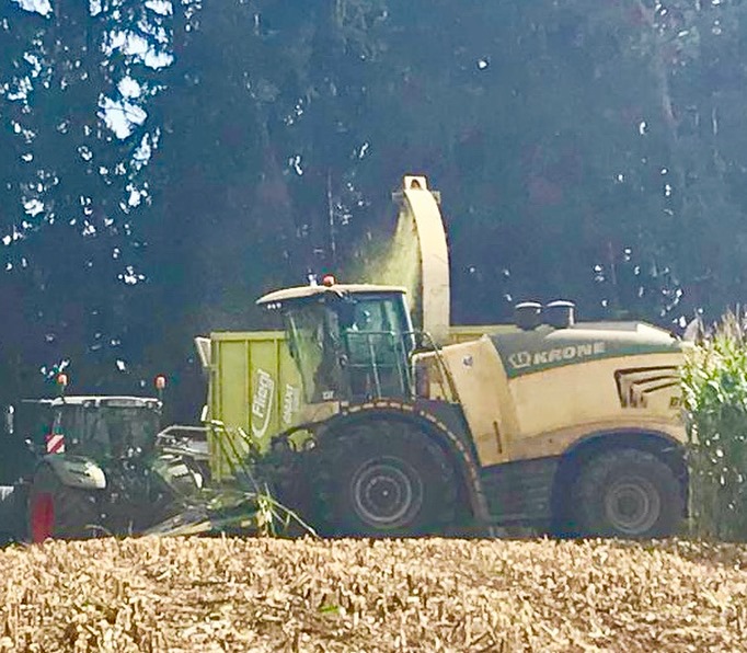 Agrolohn#maissilage#2019