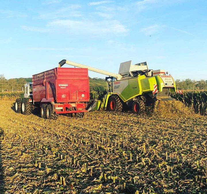 Agrolohn Südbaden ??